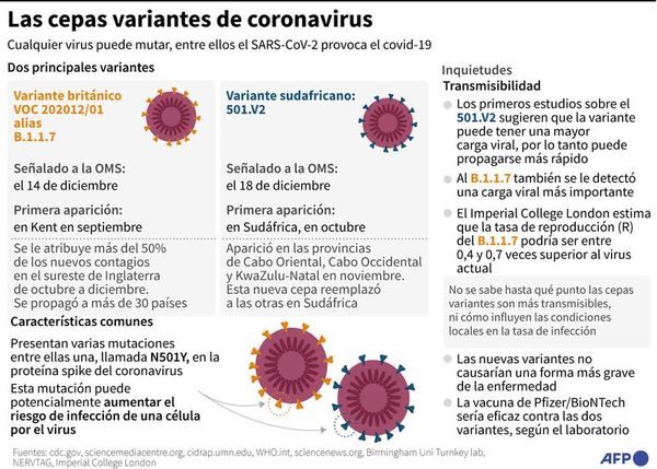 ¿Qué se sabe de la nueva variante de coronavirus hallada en Sudáfrica? - Mundo - ABC Color