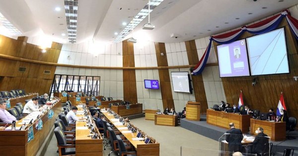 La Nación / Evaluarán convocar a diputados para tratar interpelación
