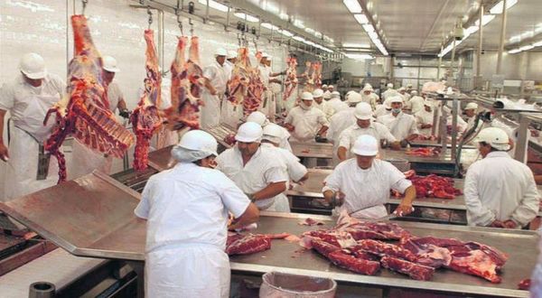 Paraguay logra récord de envíos de carne a Chile