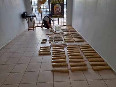Incautan más de 90 kilos de marihuana en PJC