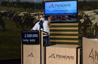 Piemonte comenzó el año colocando el 100% de la oferta de invernada