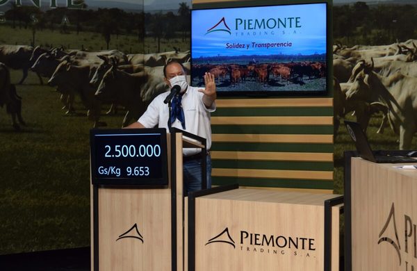 Piemonte comenzó el año colocando el 100% de la oferta de invernada