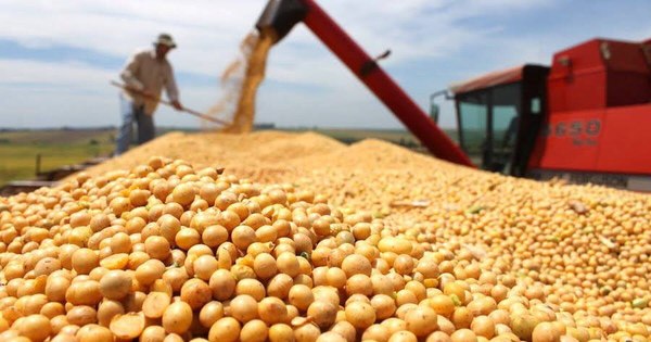 La Nación / Si precios de la soja siguen altos, ingresarán US$ 1.000 millones más