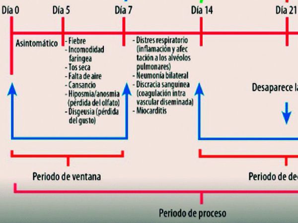 Covid deja heridas, incluso en casos leves, que tardan en cerrar