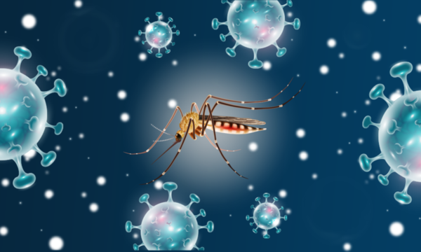 Primeros casos de COVID y DENGUE al mismo tiempo