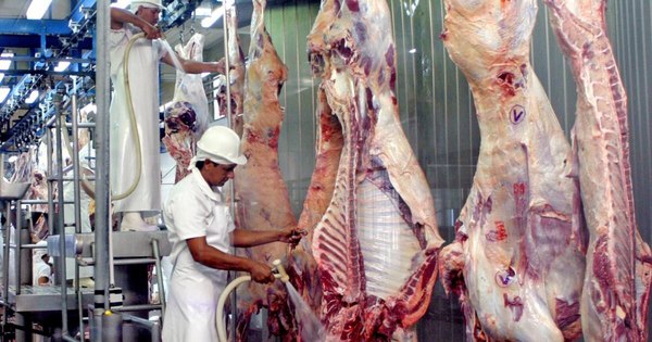 La Nación / Chile fue el principal mercado de la carne paraguaya, con casi el 40% de las exportaciones