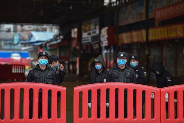 Un año después de primera muerte en China, origen del virus sigue siendo incógnita - Mundo - ABC Color