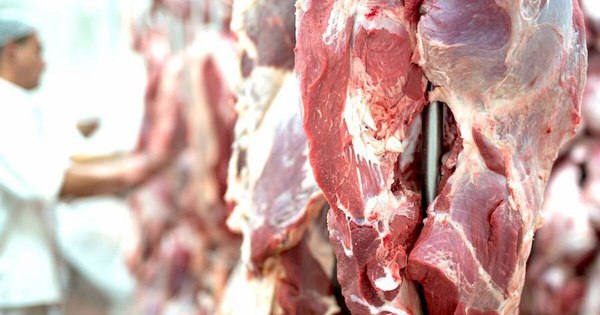La Nación / Chile es el principal comprador de la carne bovina paraguaya