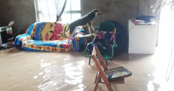 La Nación / Al menos 700 familias fueron afectadas por la inundación en el Chaco