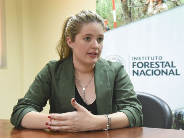 La producción forestal tiene muy buen retorno, enfatizan