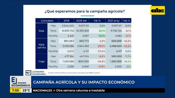 Enfoque Económico: campaña agrícola y su impacto económico - Enfoque económico - ABC Color