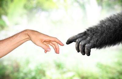 La primera cultura humana duró 20.000 años más de lo que se pensaba - Ciencia - ABC Color