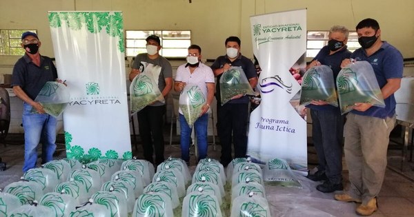 La Nación / Yacyretá entrega 27.000 alevines a pequeños productores