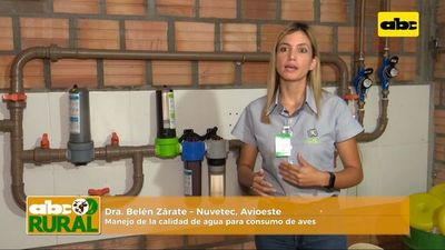 ABC Rural: Manejo de la calidad de agua para consumo de aves - ABC Rural - ABC Color