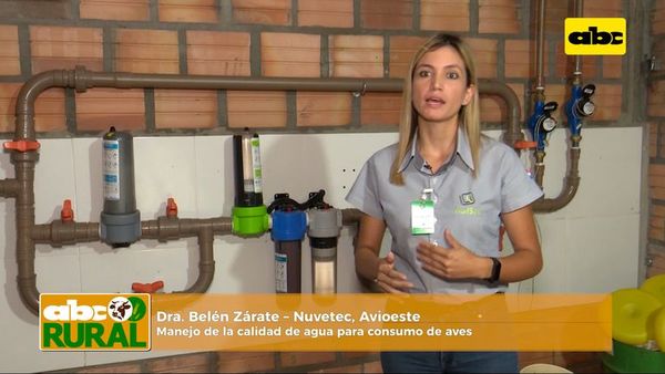 ABC Rural: Manejo de la calidad de agua para consumo de aves - ABC Rural - ABC Color