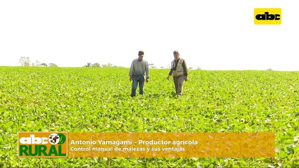 ABC Rural: Control manual de malezas en cultivos extensivos y sus ventajas - ABC Rural - ABC Color