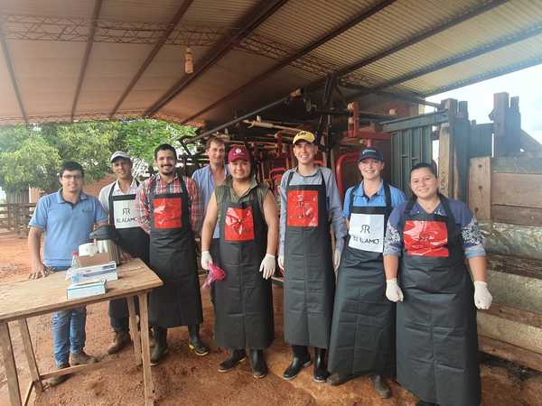 Alimentación, sanidad y calidad genética: un equilibrio clave para mejorar los porcentajes de preñez