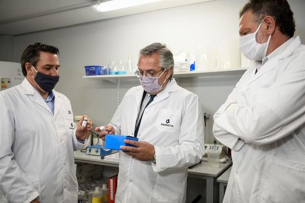 Suero equino argentino “demostró eficacia y seguridad” para casos de covid-19 - Ciencia - ABC Color