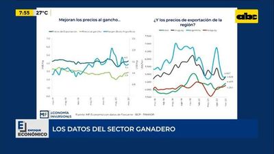 Enfoque Económico: los datos del sector ganadero - Enfoque económico - ABC Color