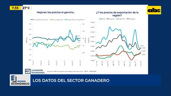 Enfoque Económico: los datos del sector ganadero - Enfoque económico - ABC Color