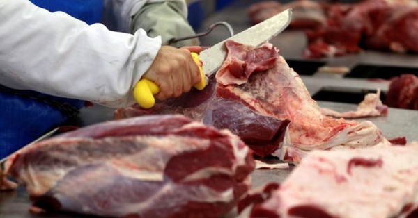 Chile: afirman que reingreso de carne colombiana dará más competitividad al mercado