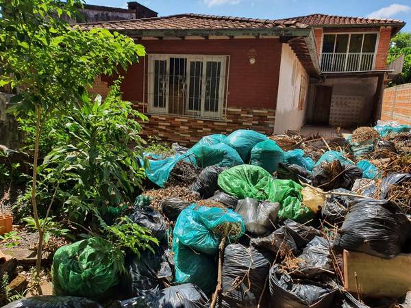 Dengue: Abogados se ofrecen para llevar casos de denuncias contra ciudadanos que no limpien sus propiedades » Ñanduti