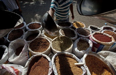 Holanda destaca el aumento de la producción de café y cacao en Nicaragua - MarketData