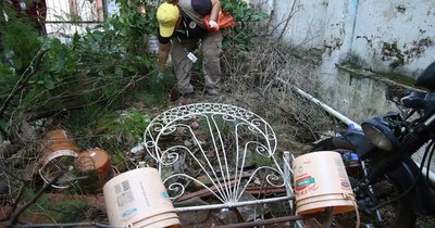 La Nación / Guardia Joven ofrece asesoramiento jurídico gratuito para luchar contra el dengue