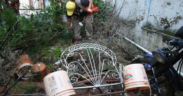La Nación / Guardia Joven ofrece asesoramiento jurídico gratuito para luchar contra el dengue