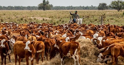 Braford donará pajuelas para proyecto de mejoramiento del hato bovino de Ñeembucú