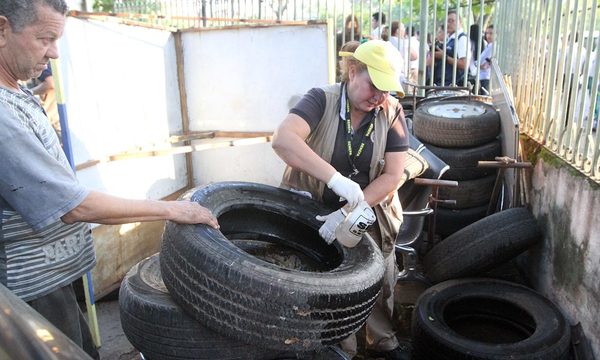 Dengue: Un promedio de 280 notificaciones por semana