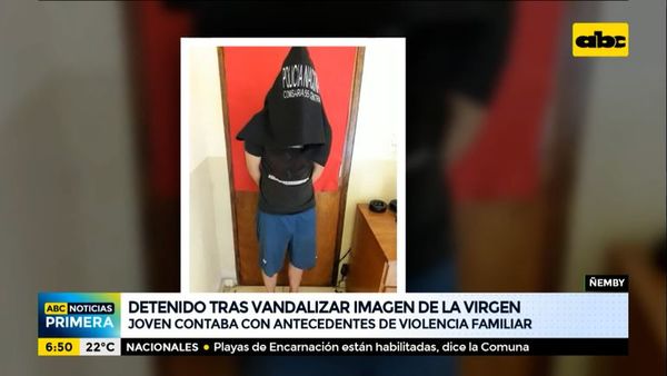 Detenido tras vandalizar la imagen de la Virgen en Ñemby - ABC Noticias - ABC Color
