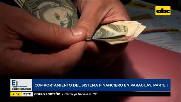 Enfoque Económico: comportamiento del sistema financiero en Paraguay, parte 1 - Enfoque económico - ABC Color