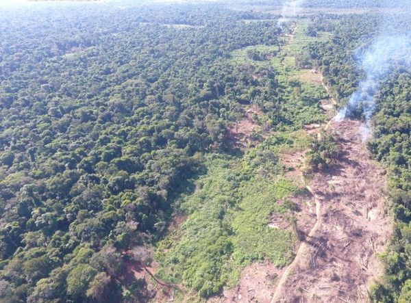 Ejecutivo veta totalmente ley de expropiación de tierras de Marina Cue - Nacionales - ABC Color