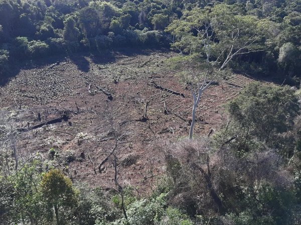 Ejecutivo vetó ley de expropiación: Marina Cue seguirá siendo Reserva Forestal