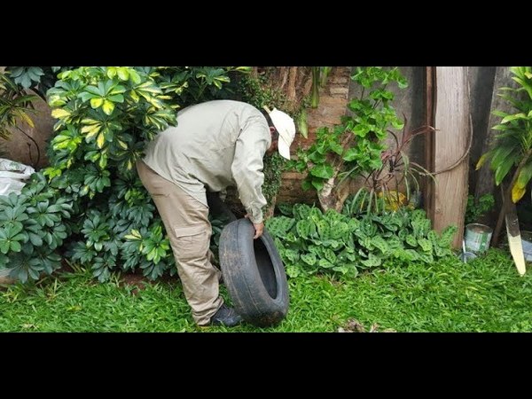 POR EL MOEMENTO, ITAPÚA NO CUENTA CON CASOS POSITIVOS DE DENGUE