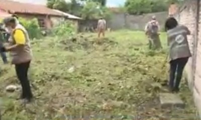 Patios Baldíos: Más de 2.000 denuncias de criaderos de mosquitos en Asunción - C9N