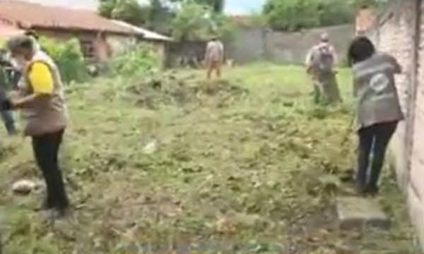Patios Baldíos: Más de 2.000 denuncias de criaderos de mosquitos en Asunción - C9N