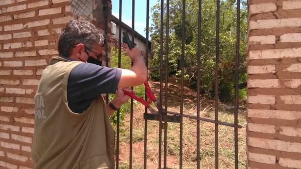 Municipalidad de Asunción sigue interviniendo baldíos gracias a denuncias de vecinos - Nacionales - ABC Color
