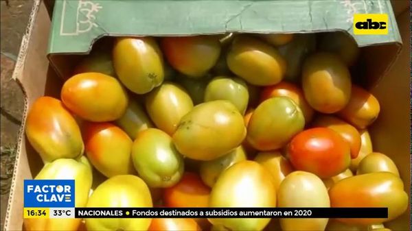 Productores preocupados por contrabando - Factor Clave - ABC Color