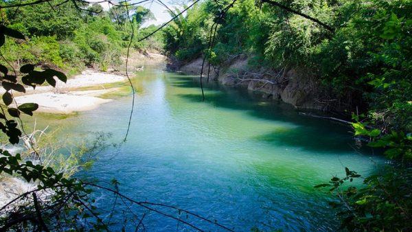 El paradisíaco arroyo del Paraguay