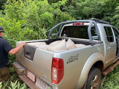 Senad incauta camioneta repleta de marihuana en Amambay - Nacionales - ABC Color