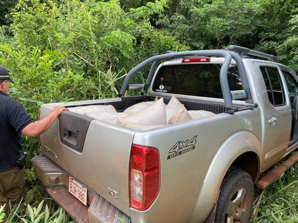 Senad incauta camioneta repleta de marihuana en Amambay - Nacionales - ABC Color
