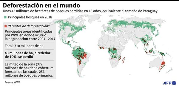 Deforestación, equivalente a tamaño de Paraguay - Mundo - ABC Color