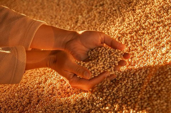 El alentador 2021 para el comercio exterior paraguayo - MarketData