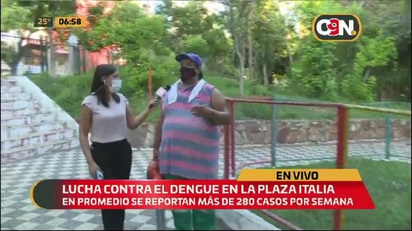 Cuadrillas de limpieza no dan abasto - C9N