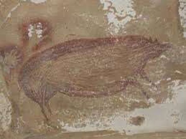 Descubren la pintura rupestre figurativa más antigua del mundo
