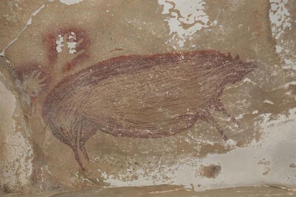 Hallan en Indonesia la pintura rupestre más antigua del mundo - Cultura - ABC Color
