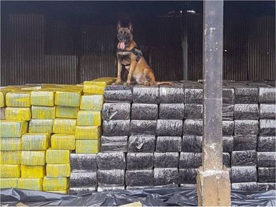 Brasil: Incautan 13 toneladas de marihuana enviada desde Paraguay