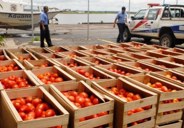 Productores e importadores guerrean por el tomate, ante disparada de precios - ADN Digital